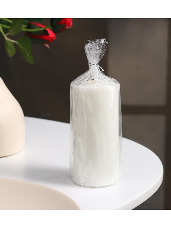 Свеча-цилиндр гладкая,5х10 см, пальмовый воск, белая, 6 ч