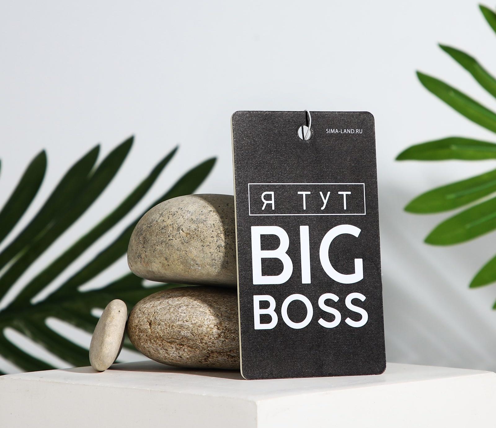 Ароматизатор картонный «Босс», аромат океан