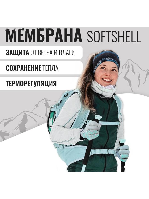 Перчатки лыжные ONLYTOP модель 2099, р. L