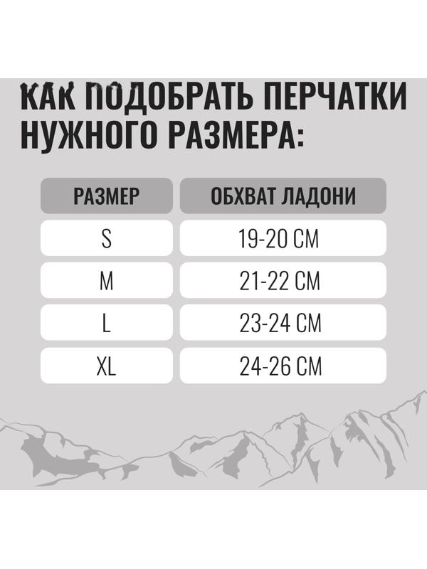 Перчатки лыжные ONLYTOP модель 2099, р. L