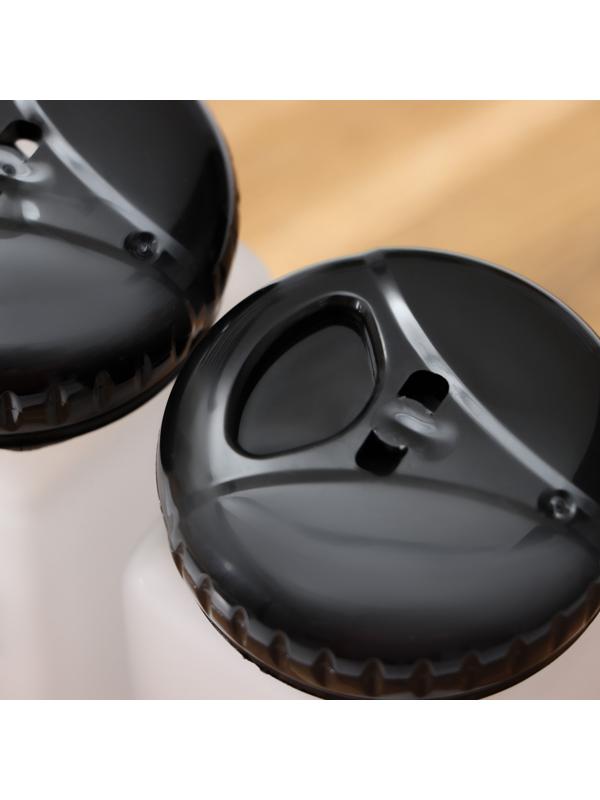 Набор для специй на подставке «Классика», 2 предмета: солонка 150 мл, перечница 150 мл