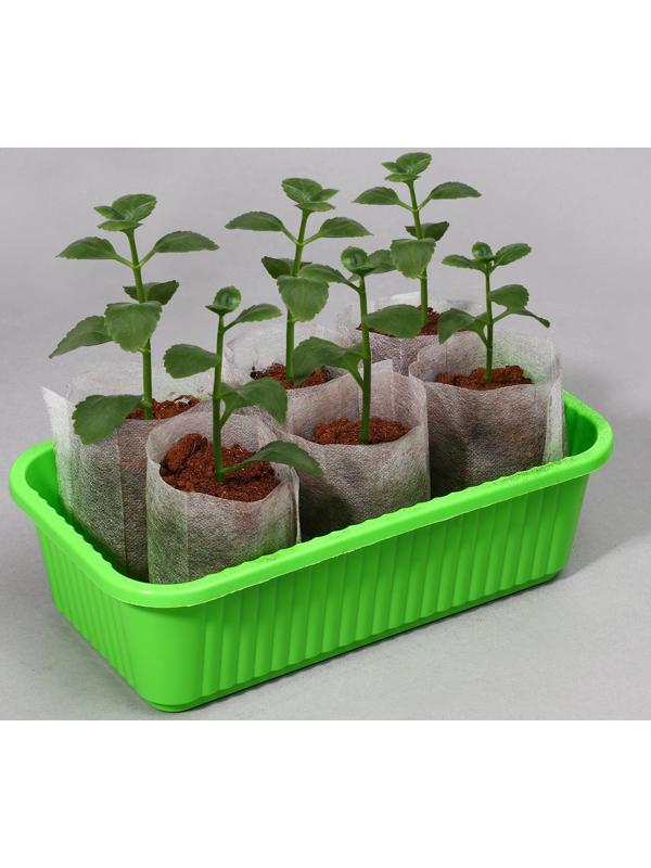 Пакет для рассады, 8 × 11 см, спанбонд плотностью 40 г/м², Greengo