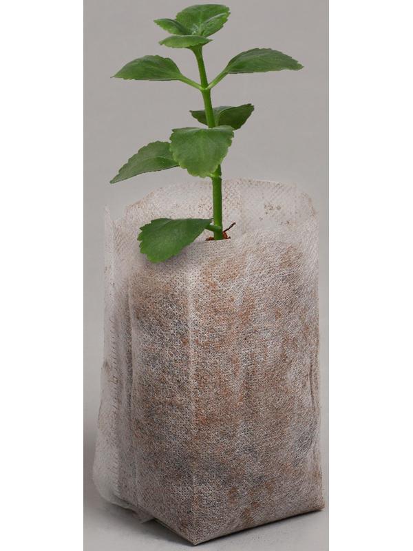 Пакет для рассады, 8 × 11 см, спанбонд плотностью 40 г/м², Greengo