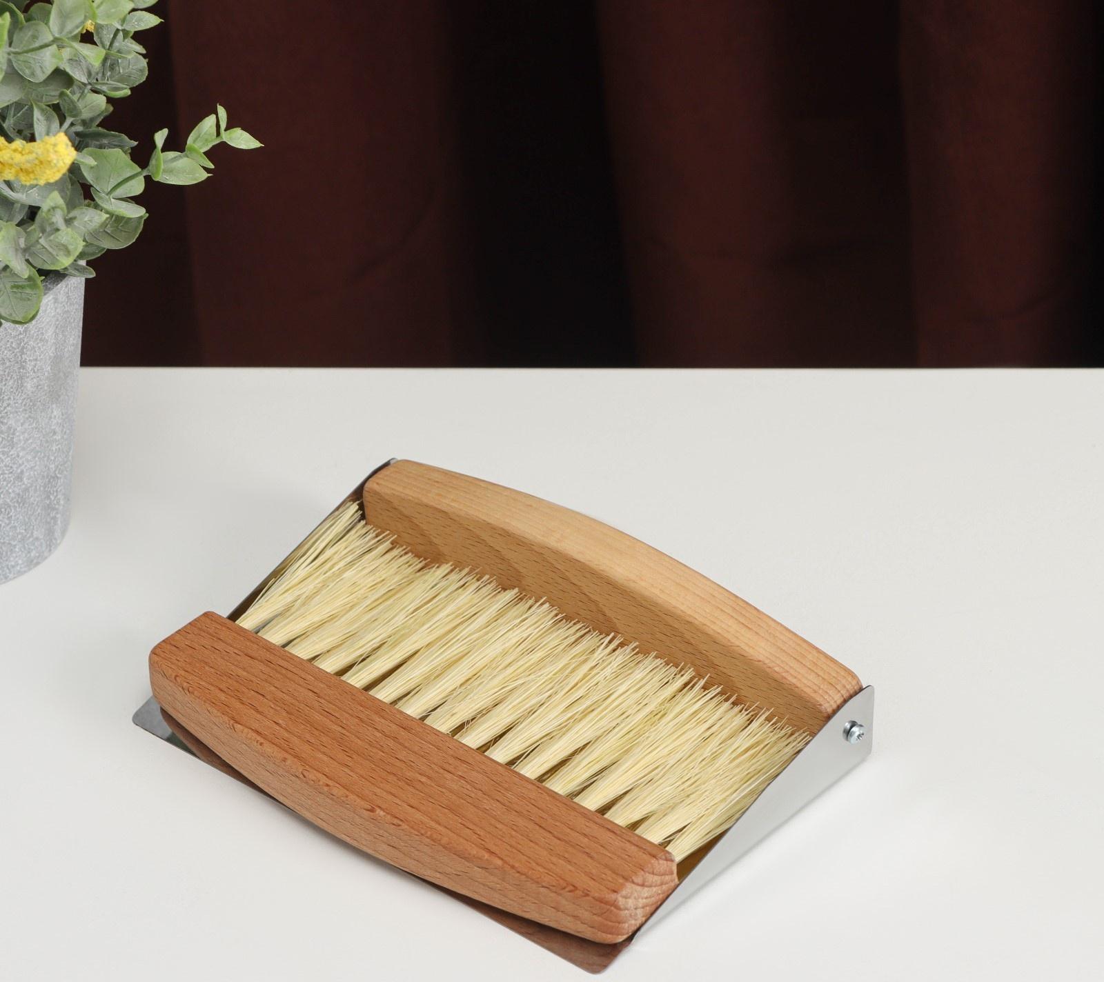 Набор для уборки: совок и щётка, 16×10,5×4 см, 16×4×1,6 см, 30 пучков, натуральный волос