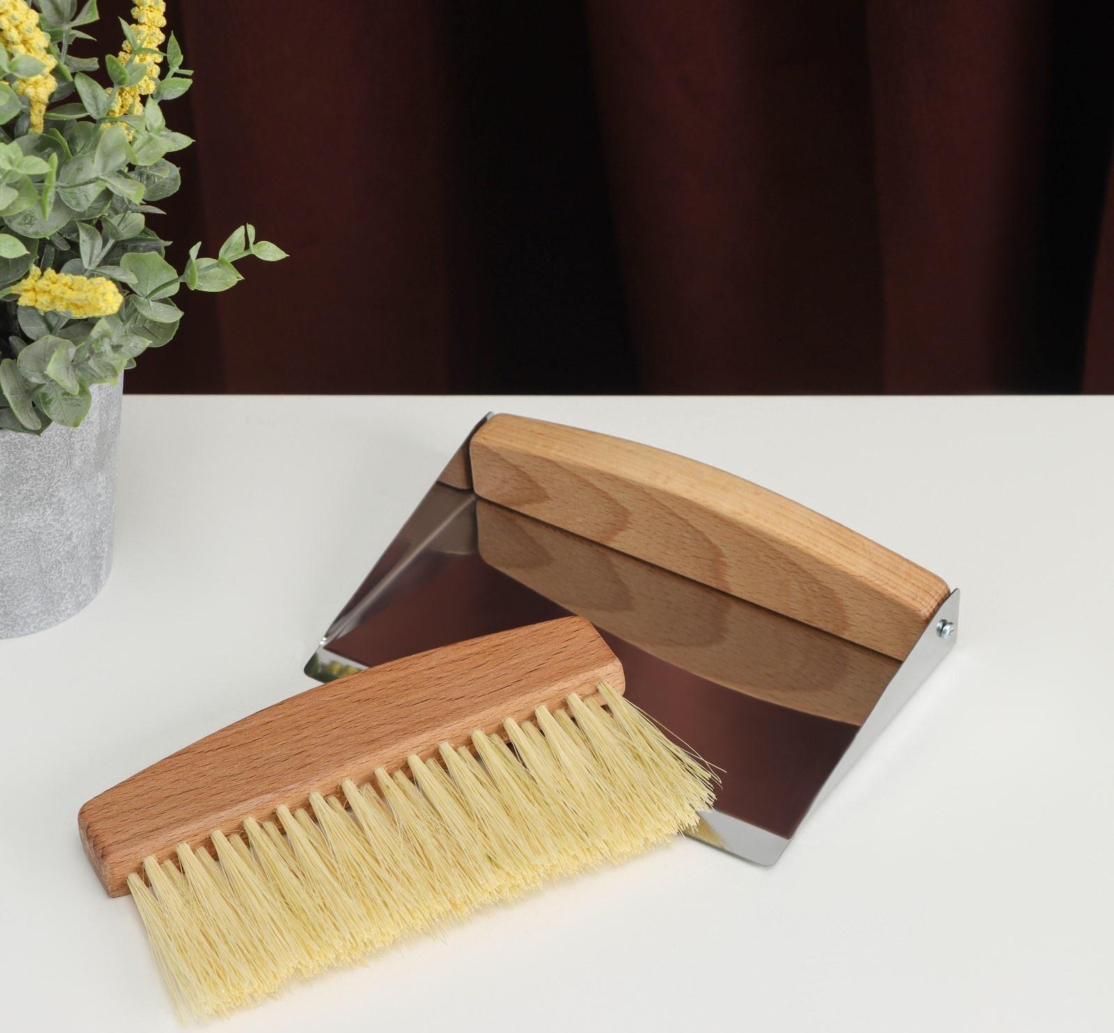 Набор для уборки: совок и щётка, 16×10,5×4 см, 16×4×1,6 см, 30 пучков, натуральный волос