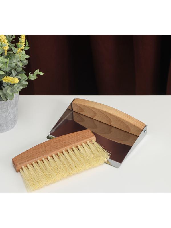 Набор для уборки: совок и щётка, 16×10,5×4 см, 16×4×1,6 см, 30 пучков, натуральный волос