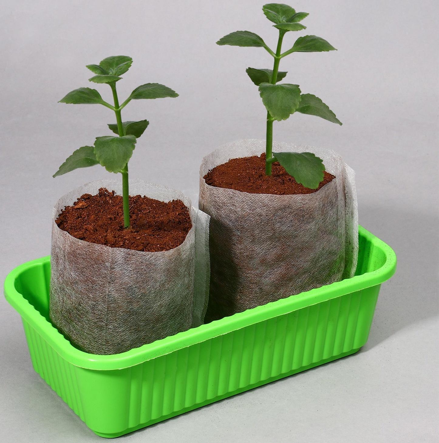 Пакет для рассады, 10.8 × 14.5 см, спанбонд плотностью 40 г/м², Greengo