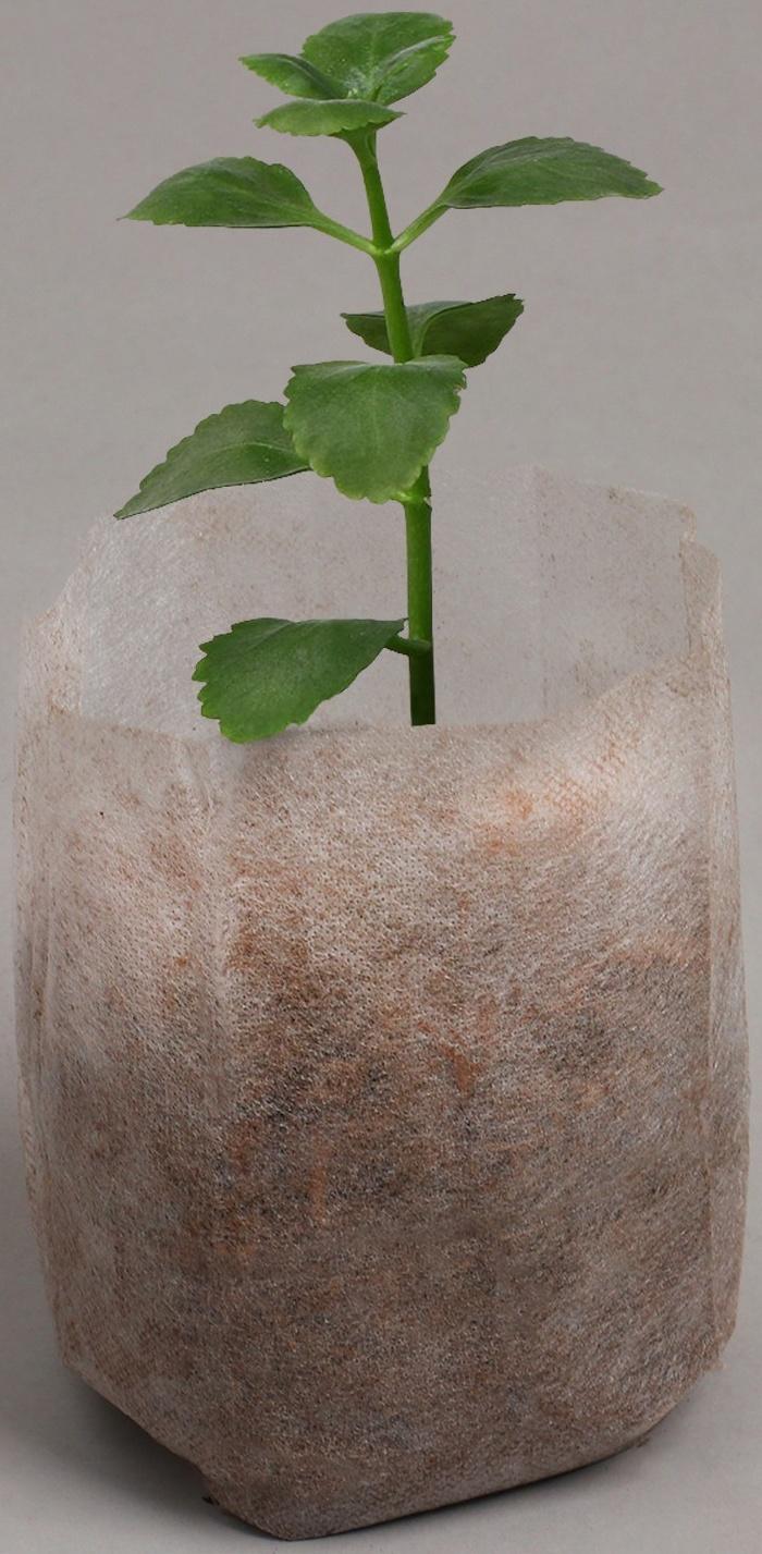 Пакет для рассады, 10.8 × 14.5 см, спанбонд плотностью 40 г/м², Greengo