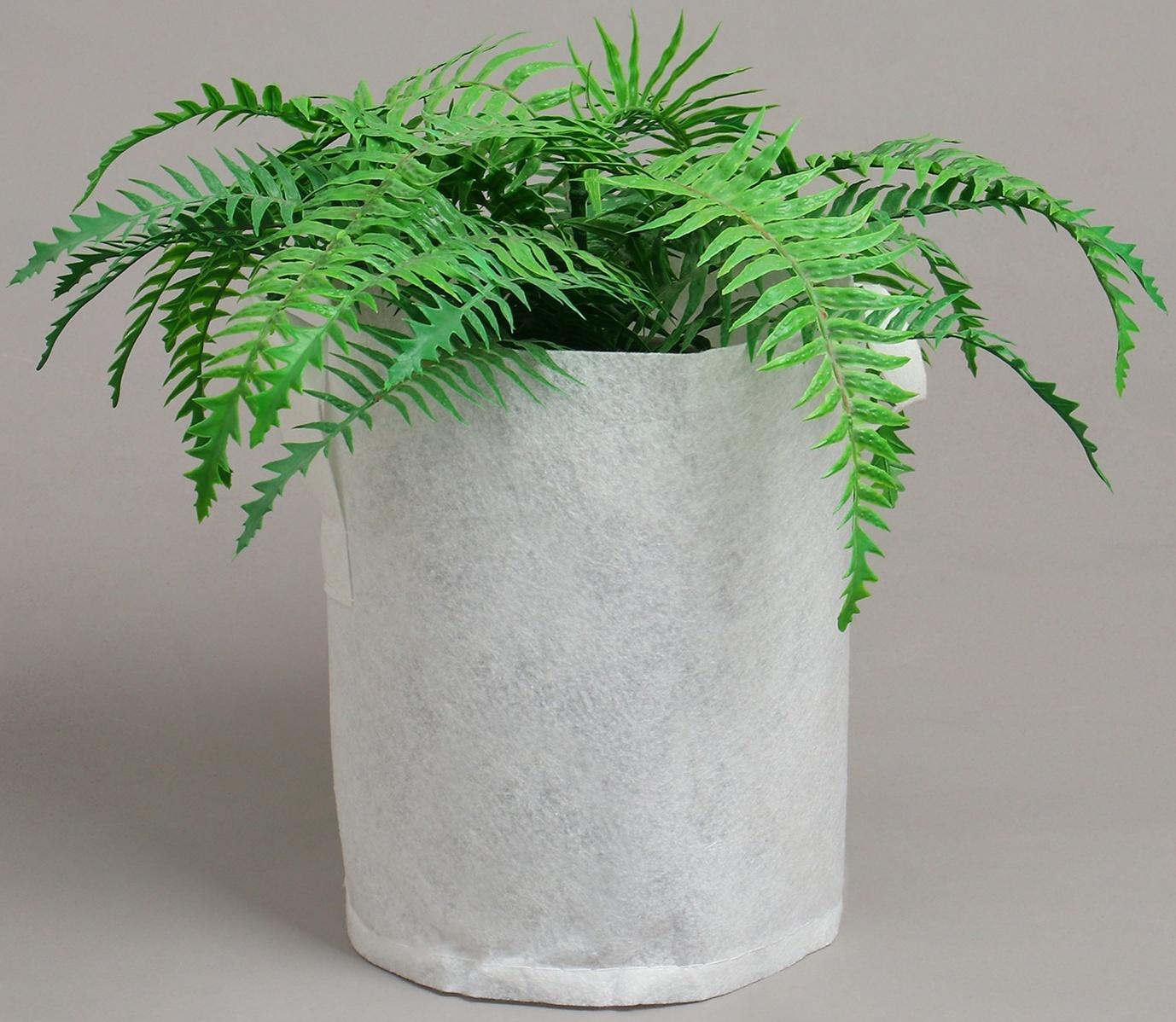 Контейнер с ручками, 22 × 26 см, плотность 130 г/м², Greengo