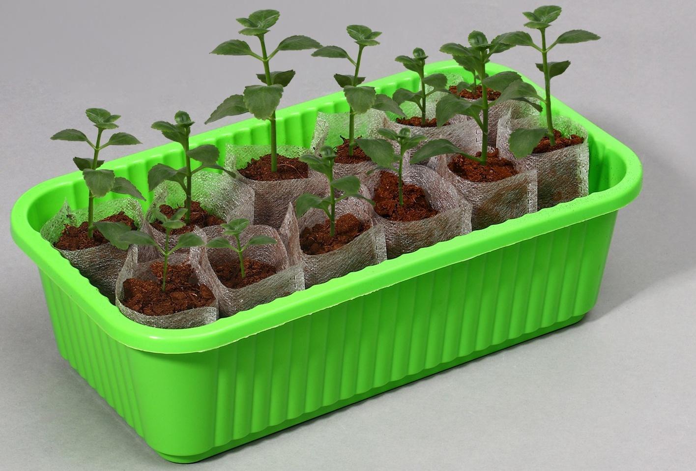 Пакет для рассады, 70 мл, 5 × 7 см, спанбонд плотностью 25 г/м², Greengo