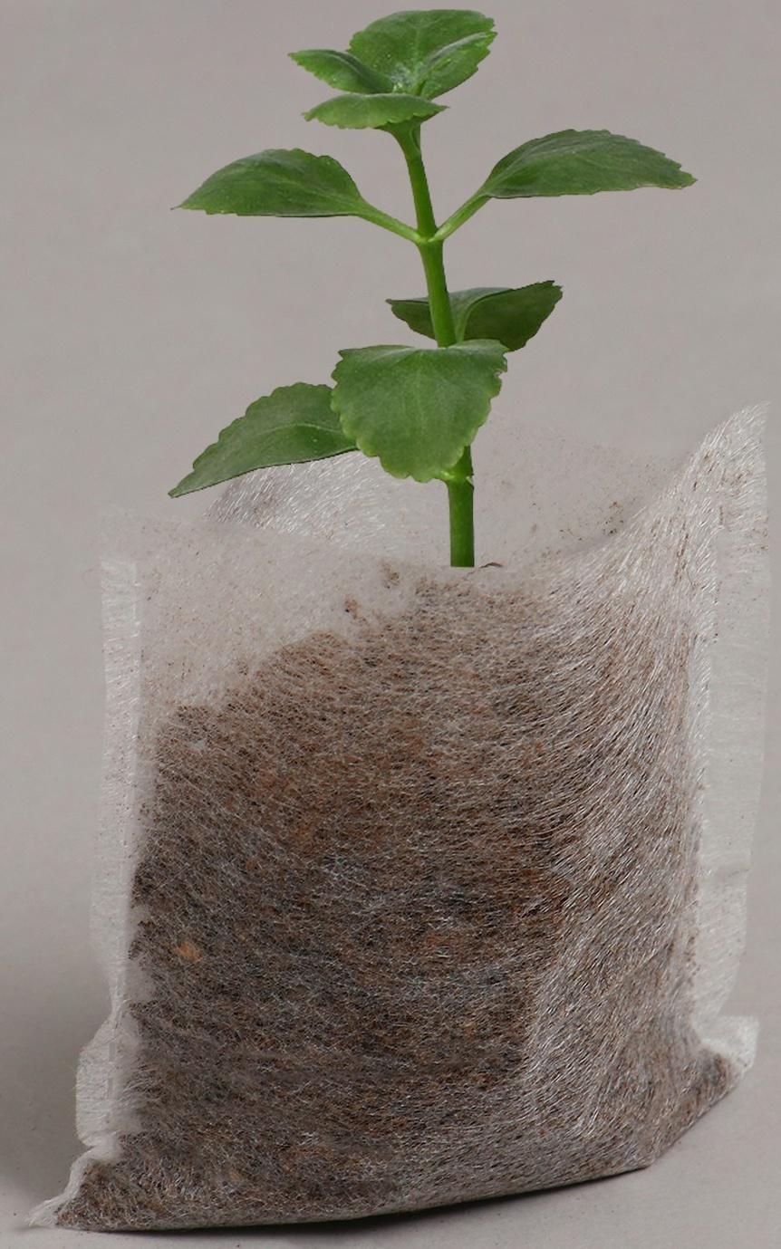 Пакет для рассады, 70 мл, 5 × 7 см, спанбонд плотностью 25 г/м², Greengo