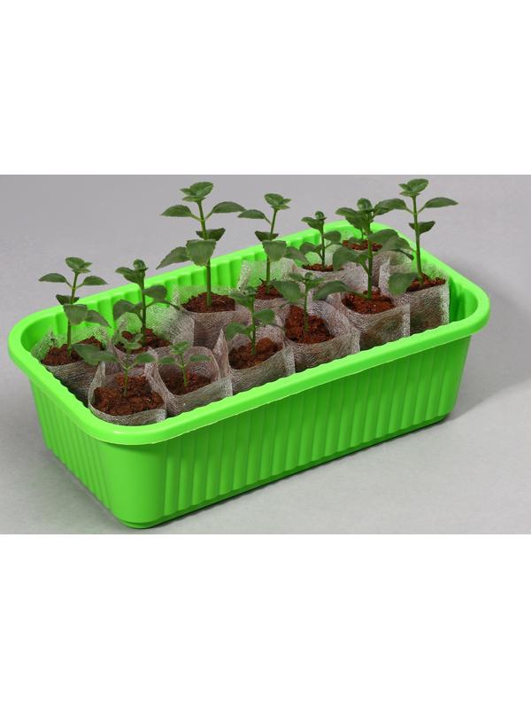 Пакет для рассады, 70 мл, 5 × 7 см, спанбонд плотностью 25 г/м², Greengo