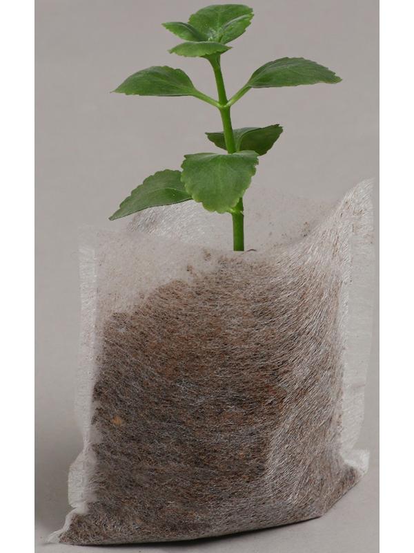 Пакет для рассады, 70 мл, 5 × 7 см, спанбонд плотностью 25 г/м², Greengo