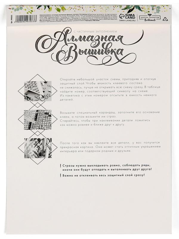 Алмазная вышивка с частичным заполнением «Девушка с зонтиком»‎, 20 х 30 см