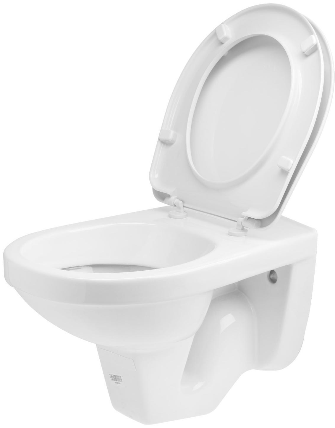 Унитаз подвесной Rosa 