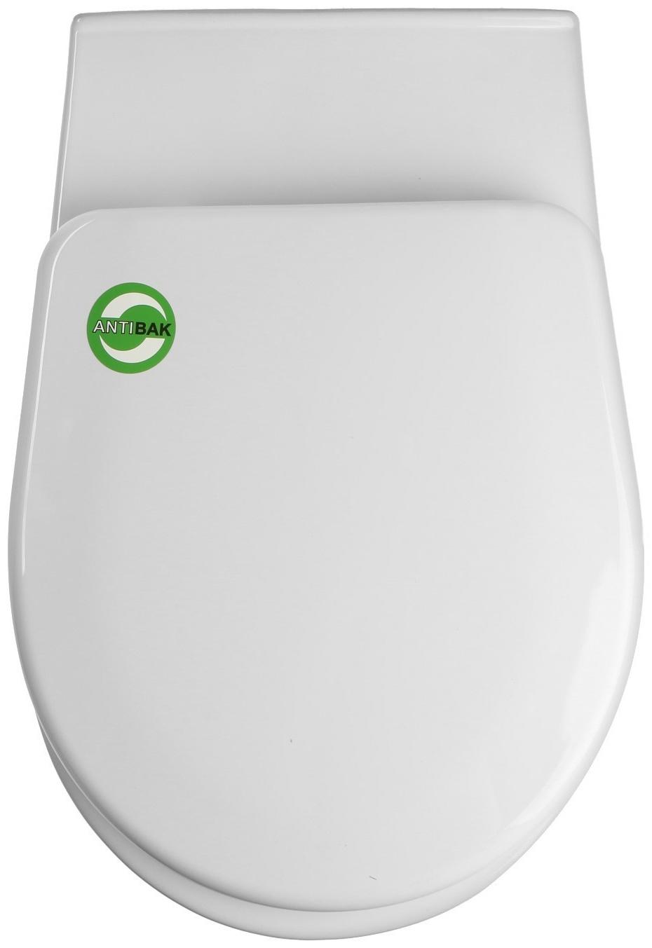 Унитаз подвесной Rosa 