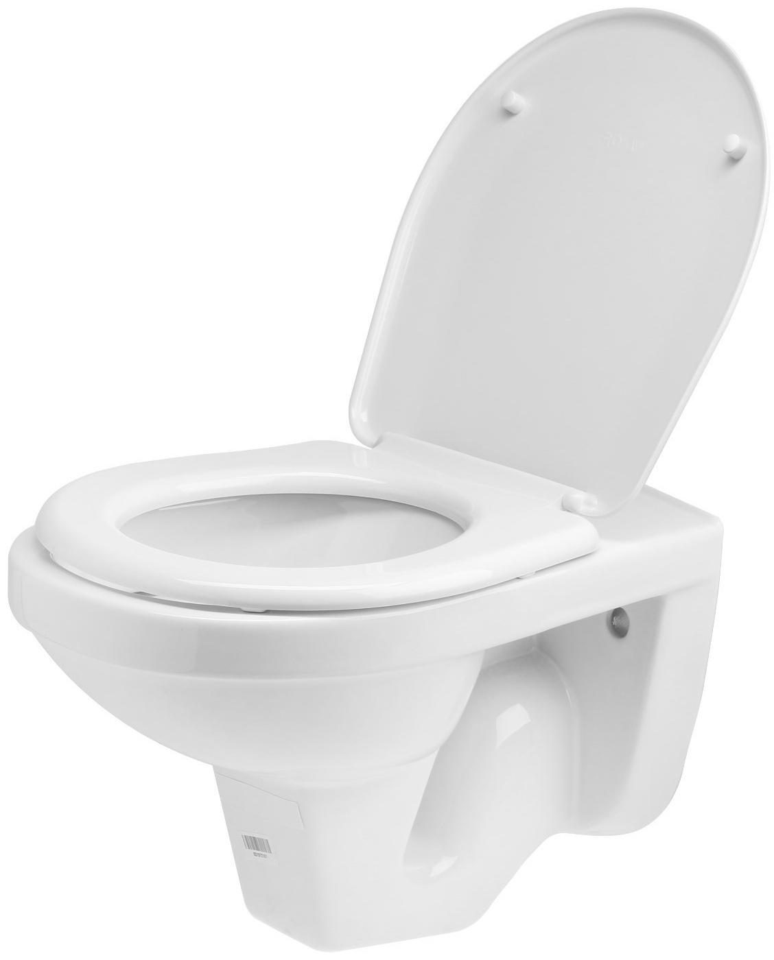 Унитаз подвесной Rosa 