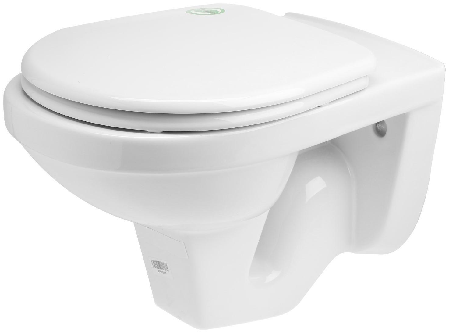 Унитаз подвесной Rosa 