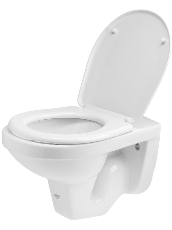 Унитаз подвесной Rosa 