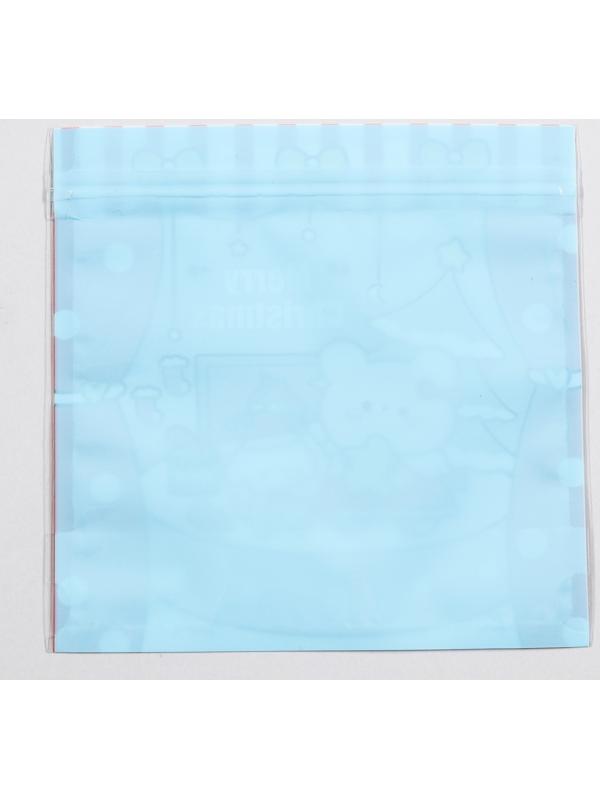 Пакет подарочный, с zip-lock застежкой 13.5 х 13.5 см