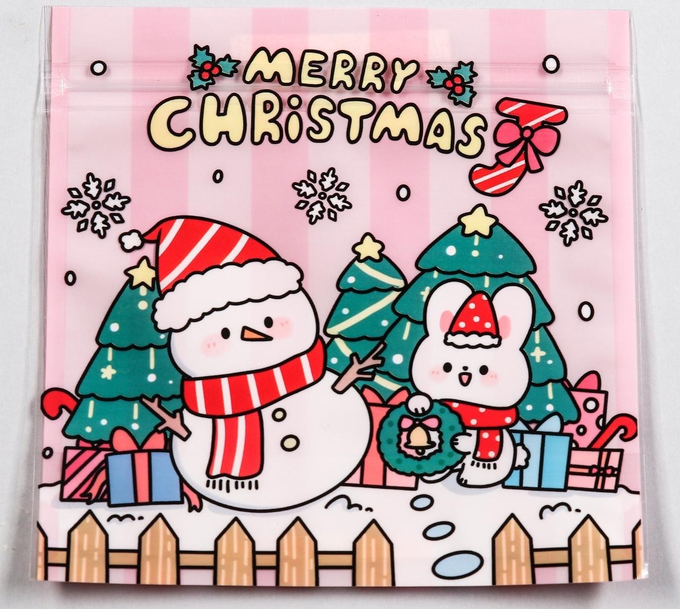 Пакет подарочный, с zip-lock застежкой 13.5 х 13.5 см