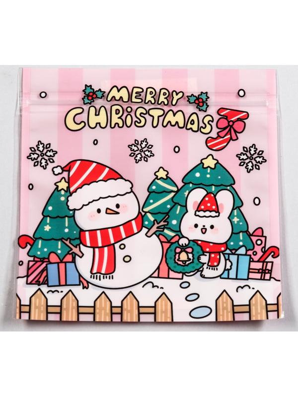 Пакет подарочный, с zip-lock застежкой 13.5 х 13.5 см