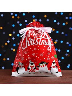 Пакет подарочный с завязками, 