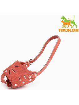 Намордник для собак