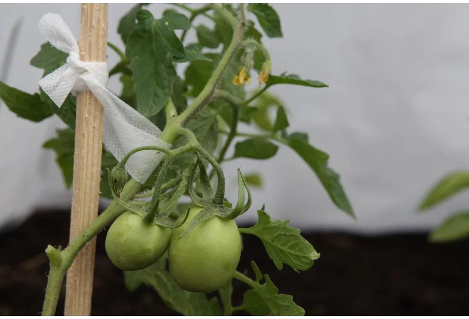 Лента для подвязки растений, 15 м, спанбонд с УФ-стабилизатором, белая