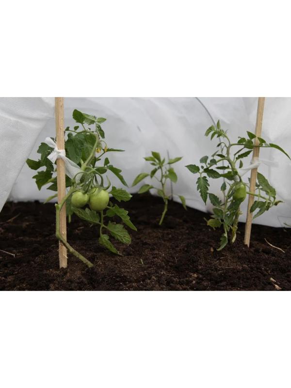 Лента для подвязки растений, 15 м, спанбонд с УФ-стабилизатором, белая