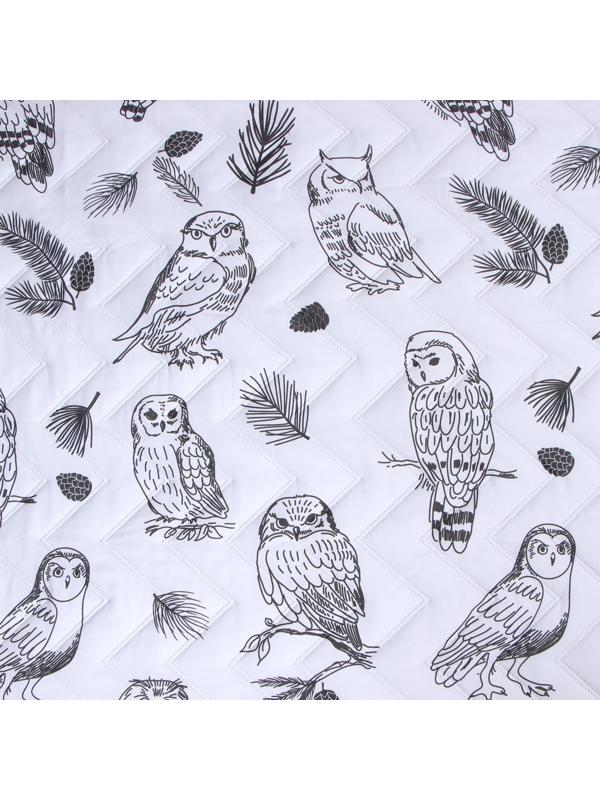 Покрывало LoveLife евро макси Owls 240*210±5см, микрофайбер, 100% п/э