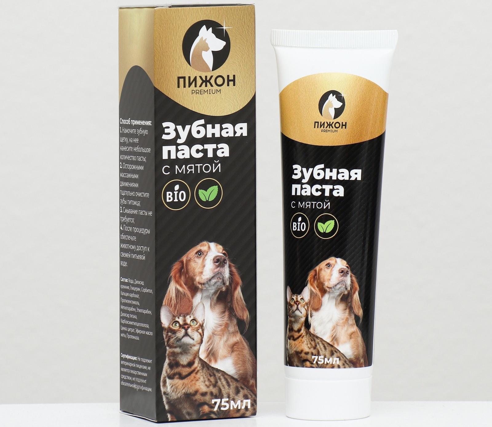 Зубная паста с мятой 