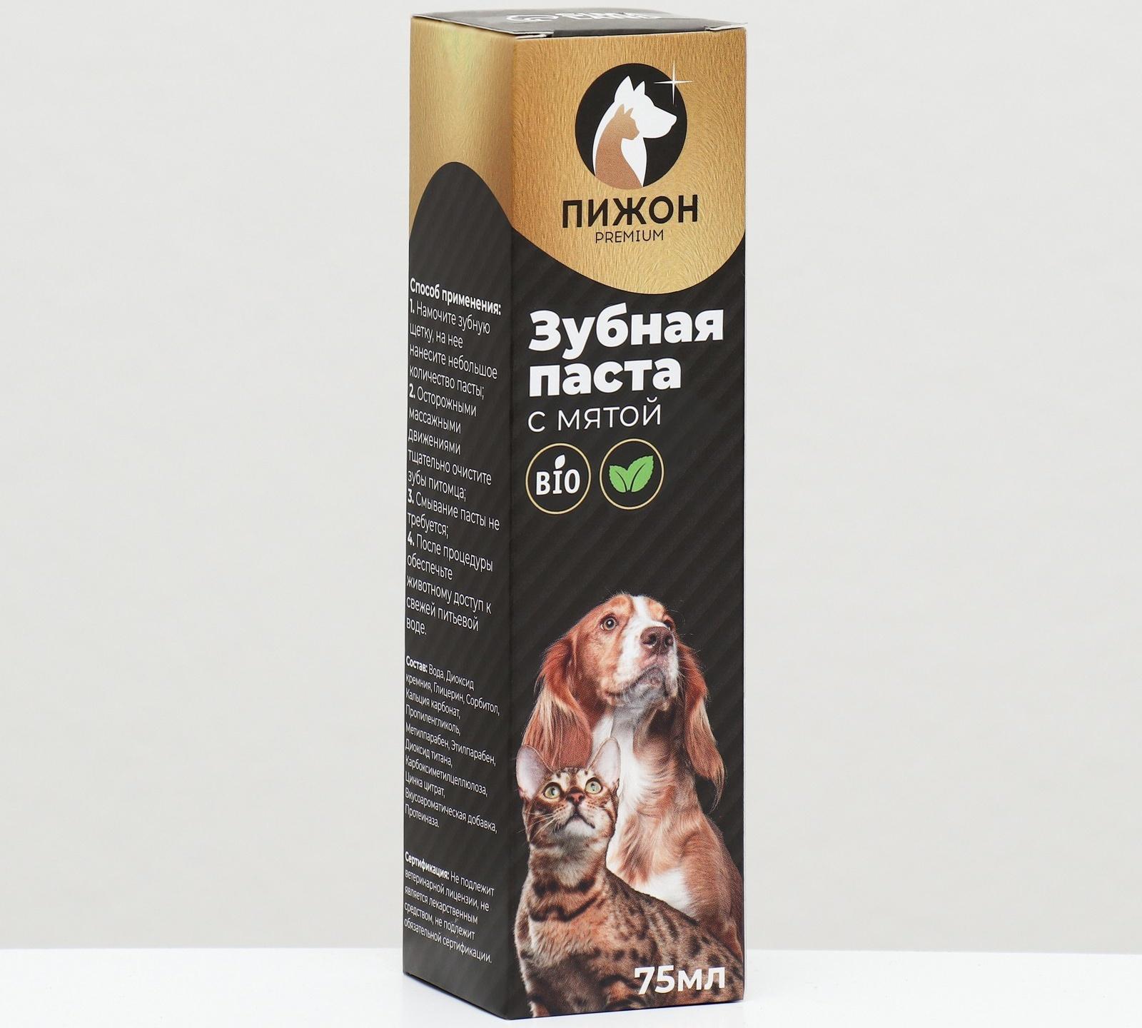 Зубная паста с мятой 