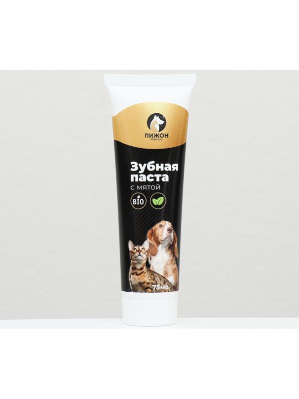Зубная паста с мятой 