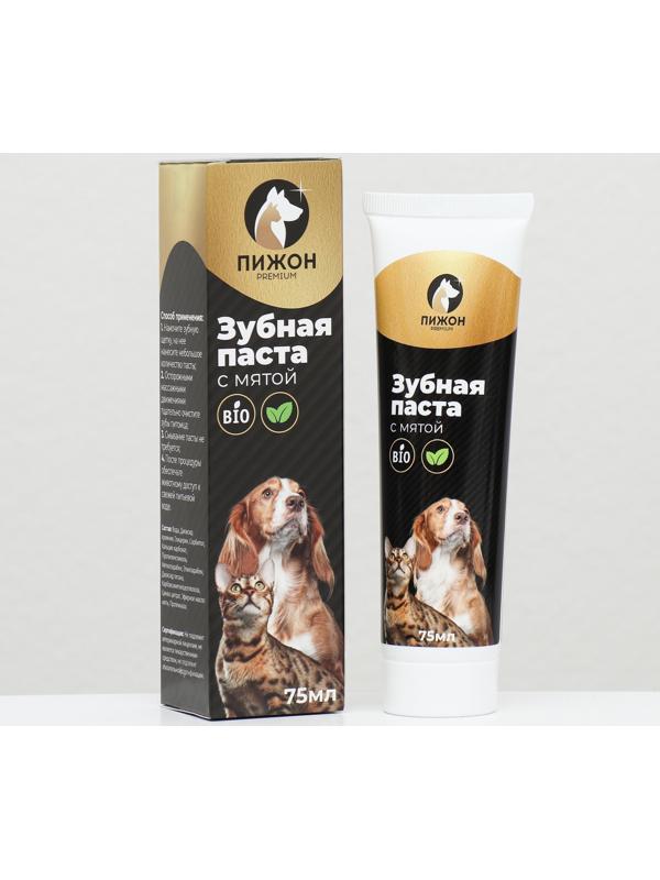 Зубная паста с мятой 