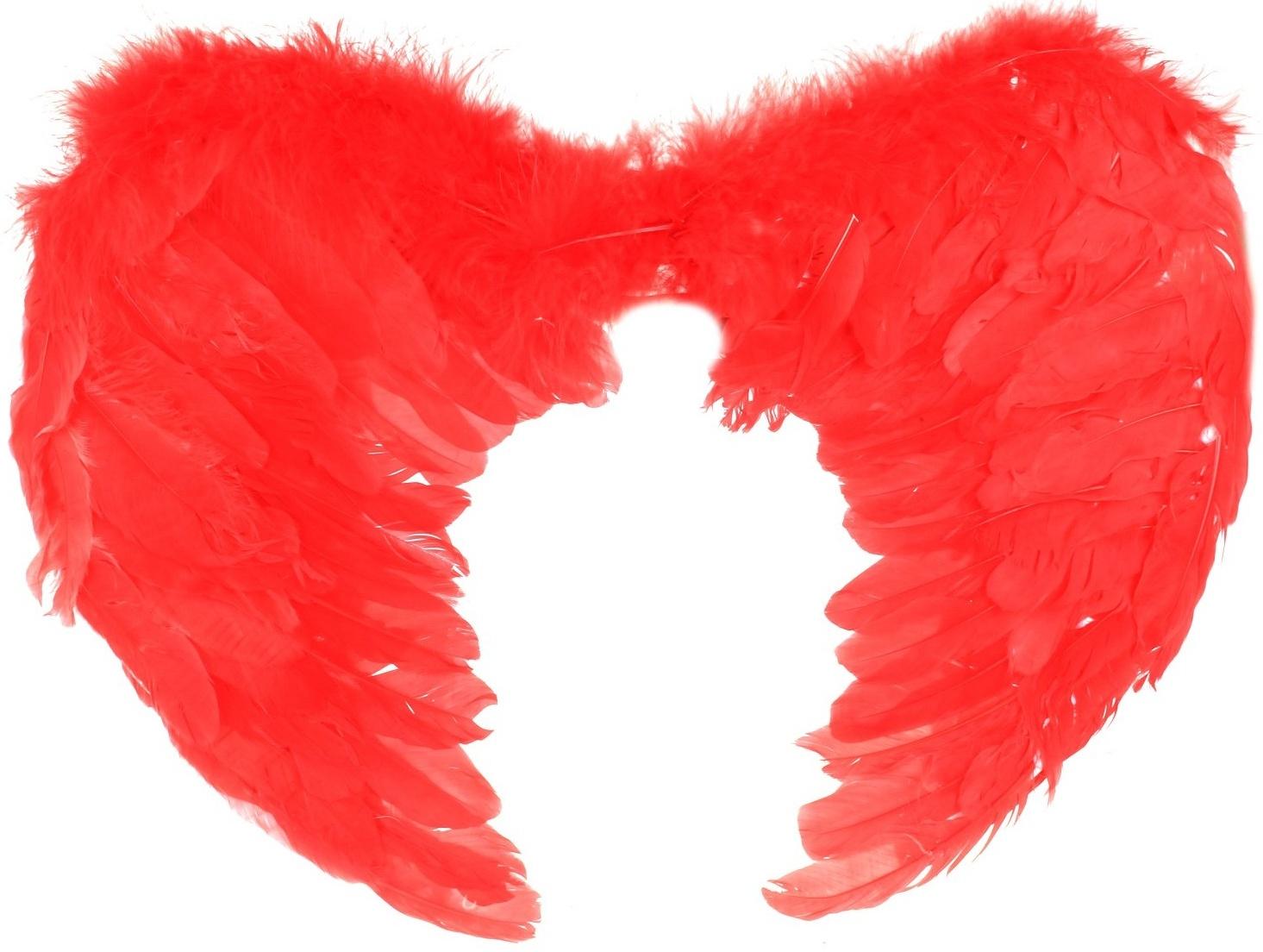 Крылья ангела, 59 × 59 см, красные