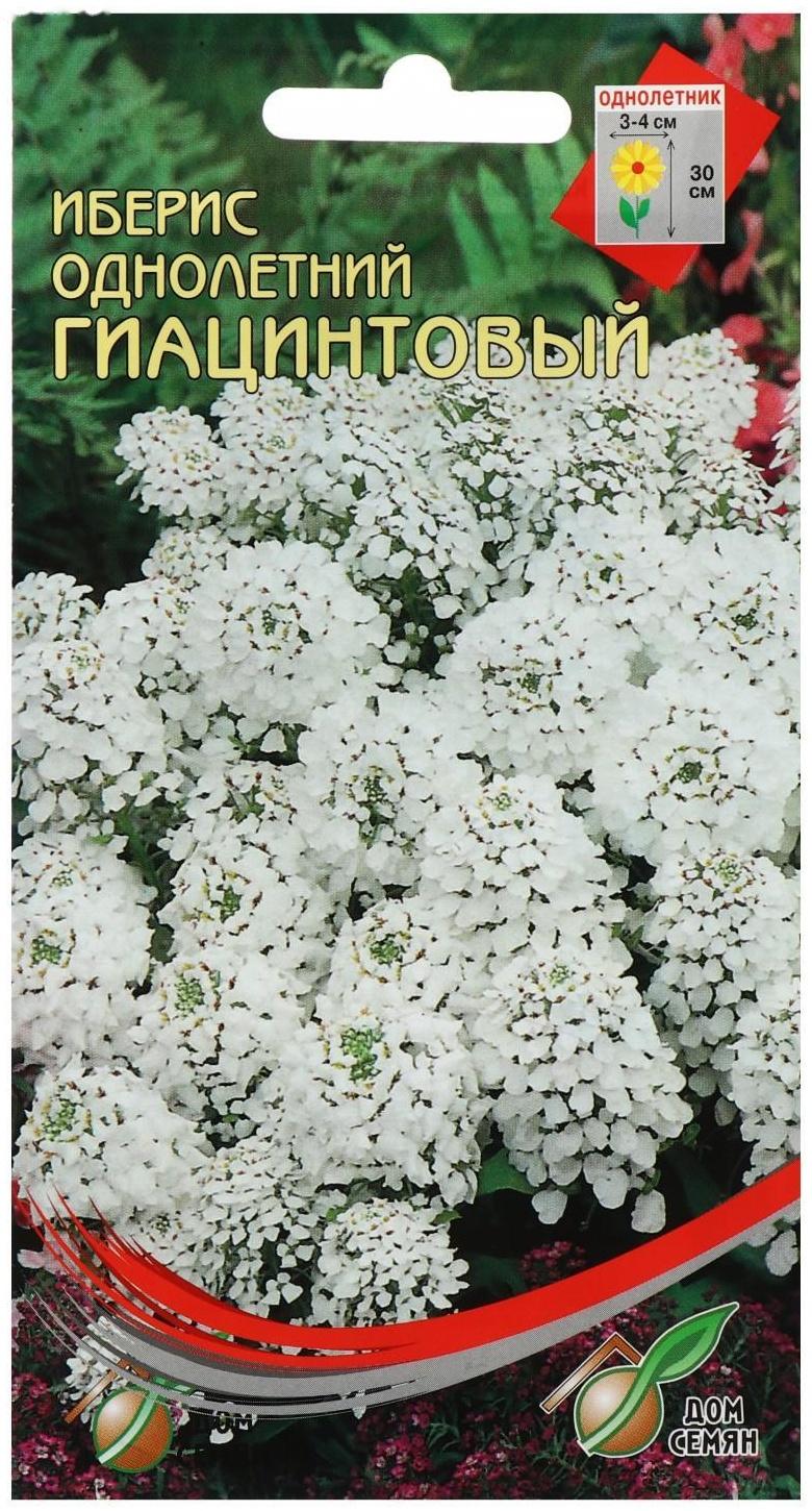 Семена цветов Иберис 