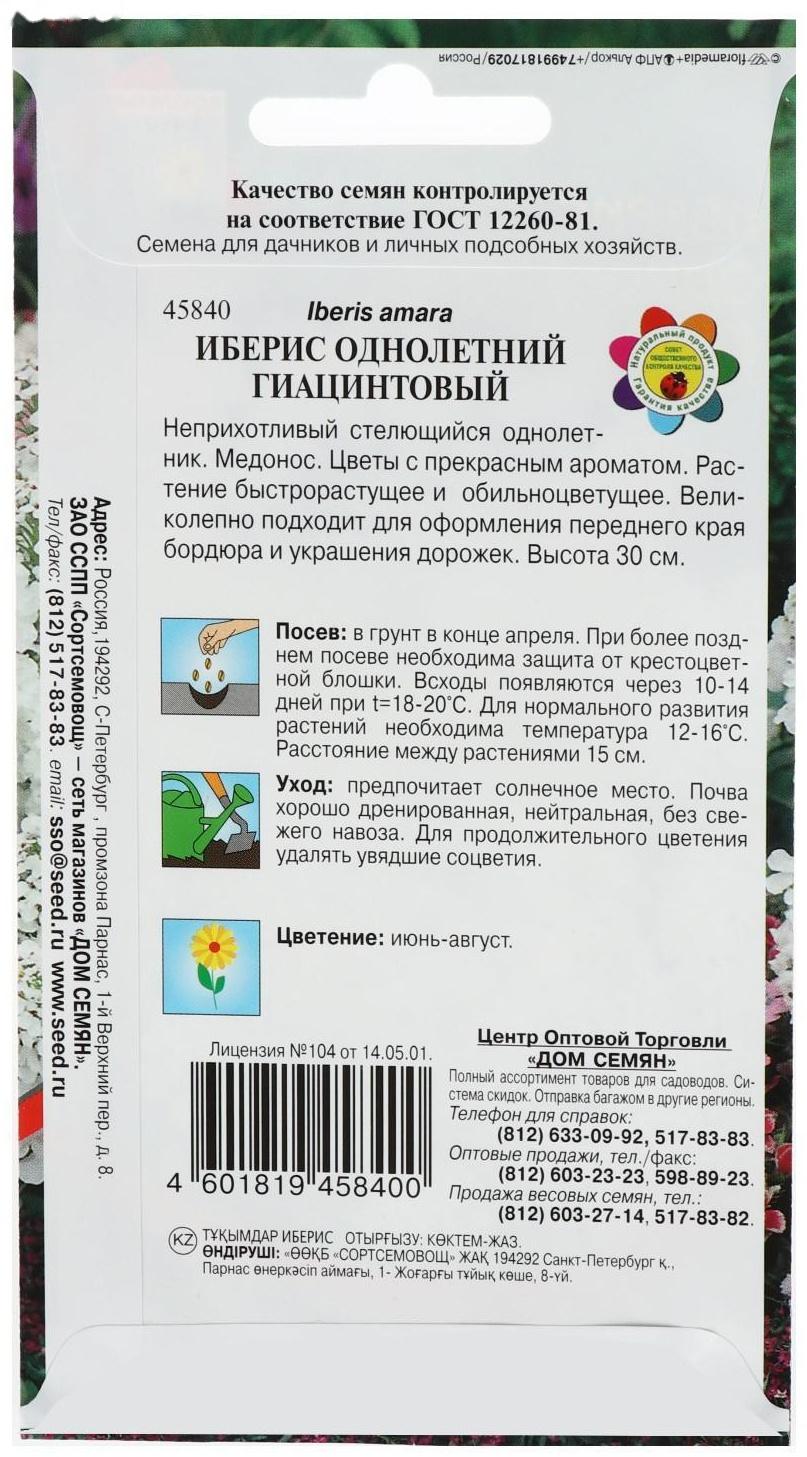 Семена цветов Иберис 