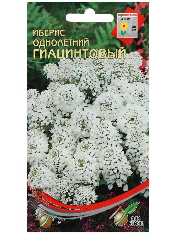 Семена цветов Иберис 