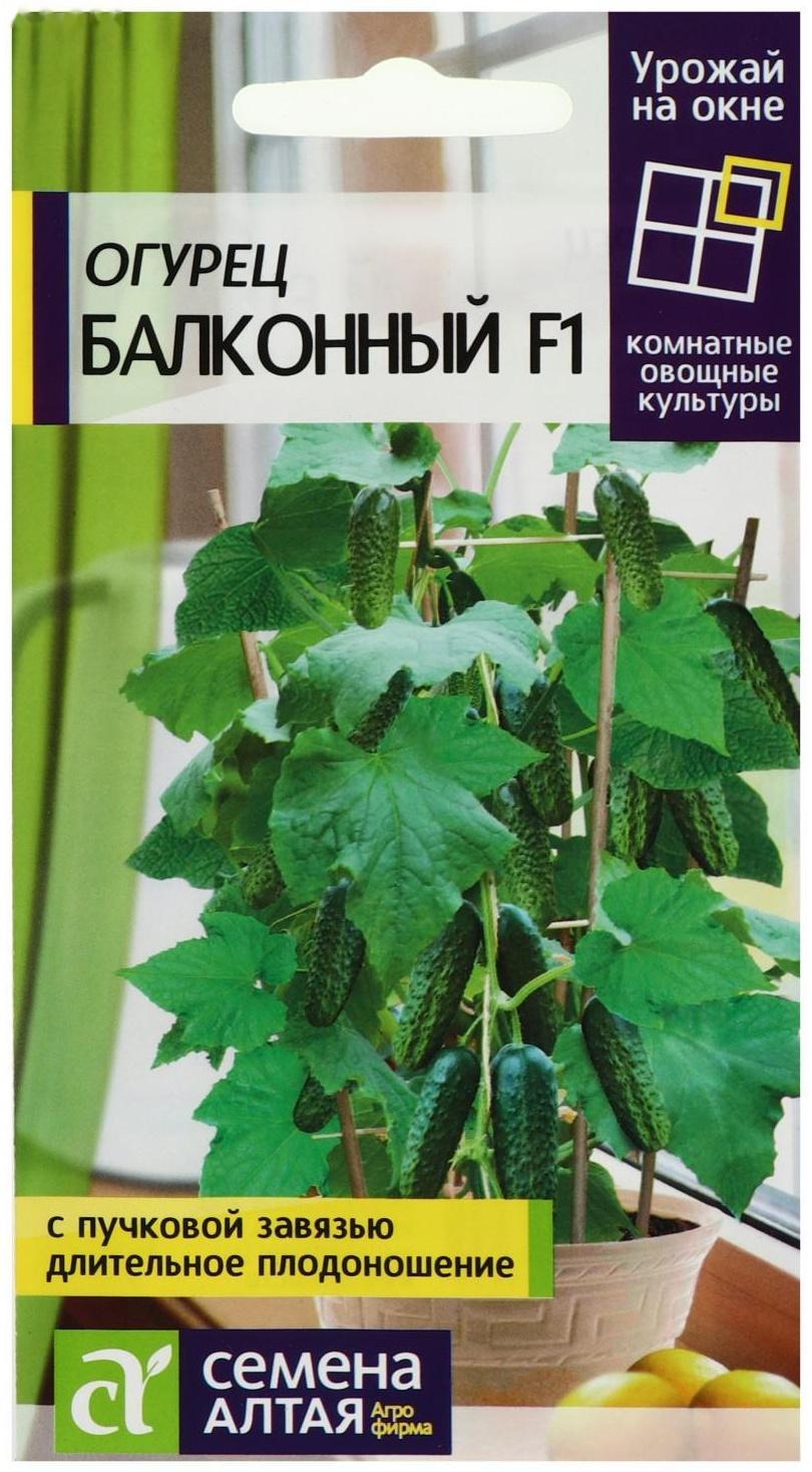 Семена огурца 