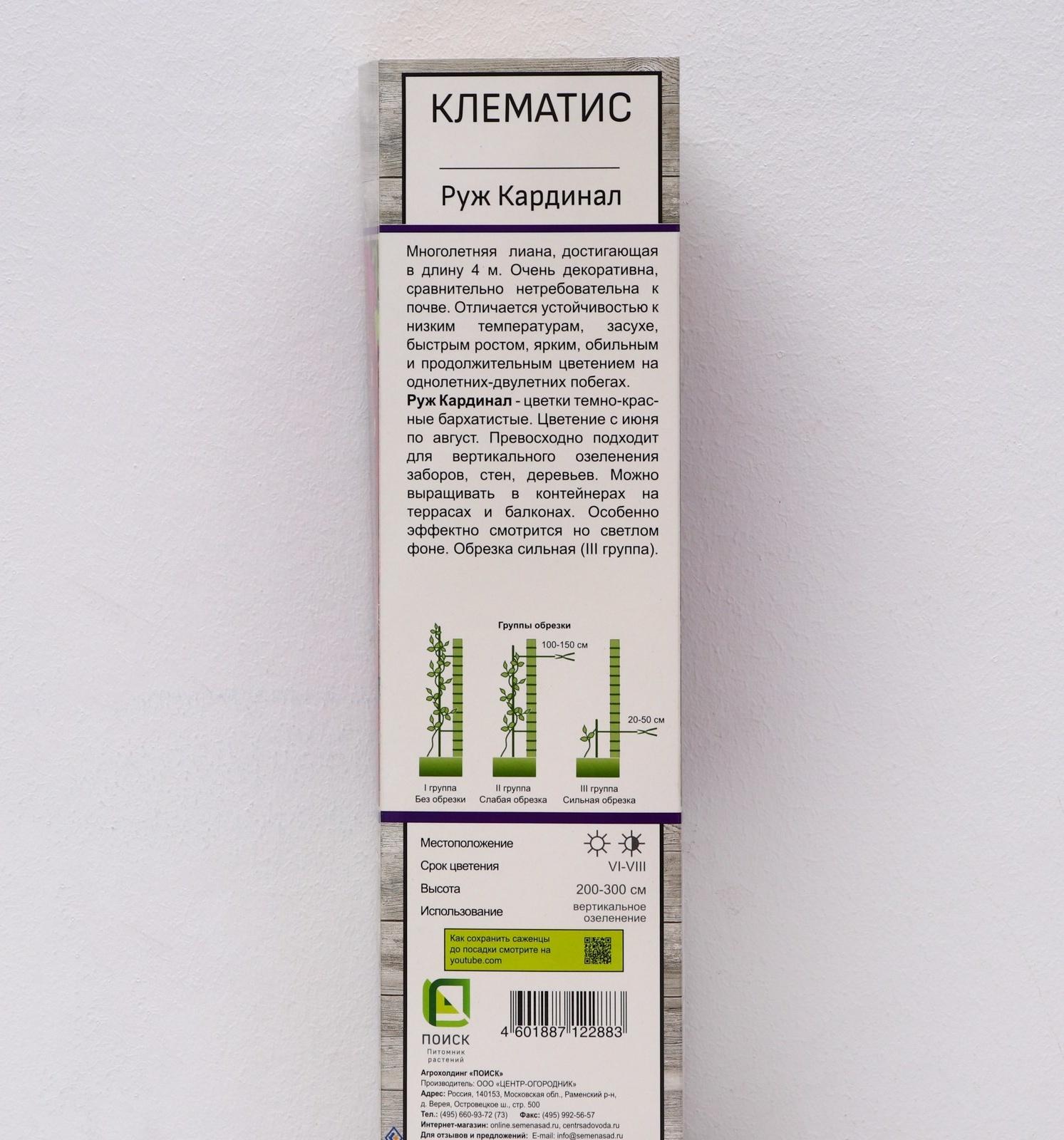 Клематис крупноцветковый 