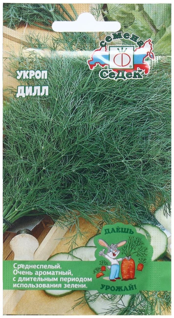 Семена Укроп  