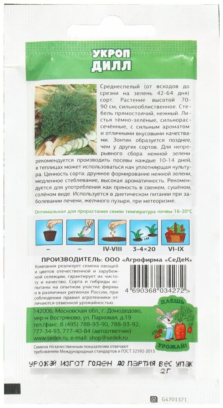 Семена Укроп  