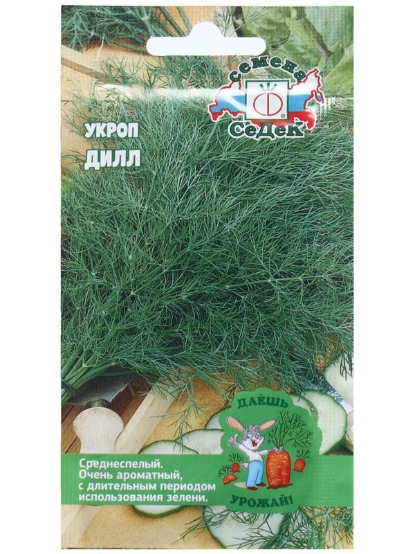 Семена Укроп  