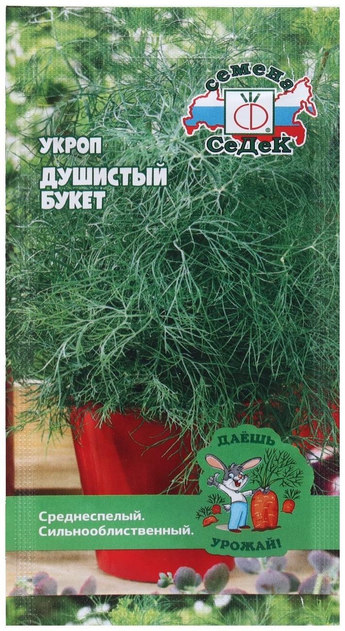 Семена Укроп  