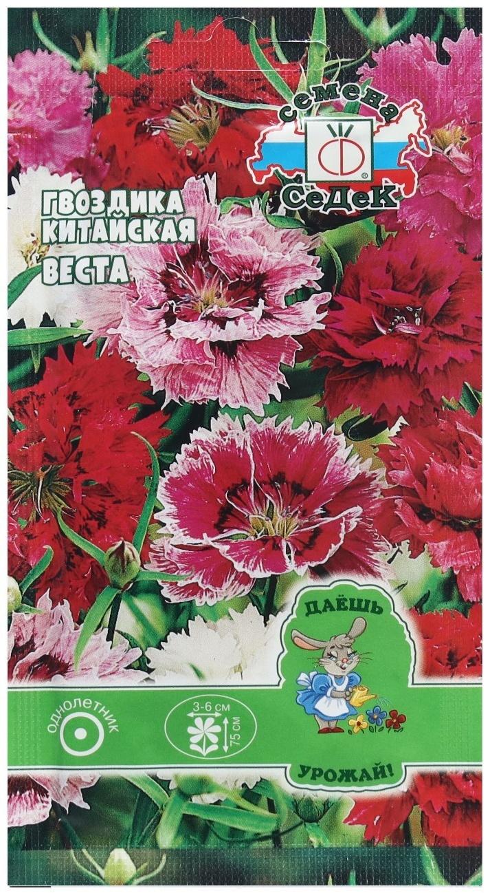 Семена Цветок Гвоздика 