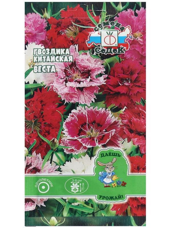 Семена Цветок Гвоздика 