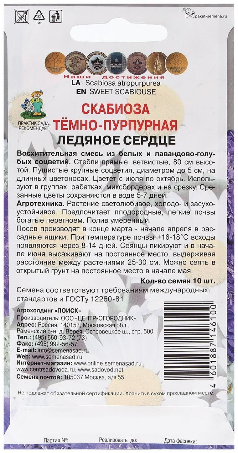 Семена цветов Скабиоза темно-пурпурная 