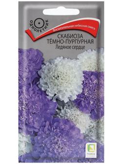 Семена цветов Скабиоза темно-пурпурная 