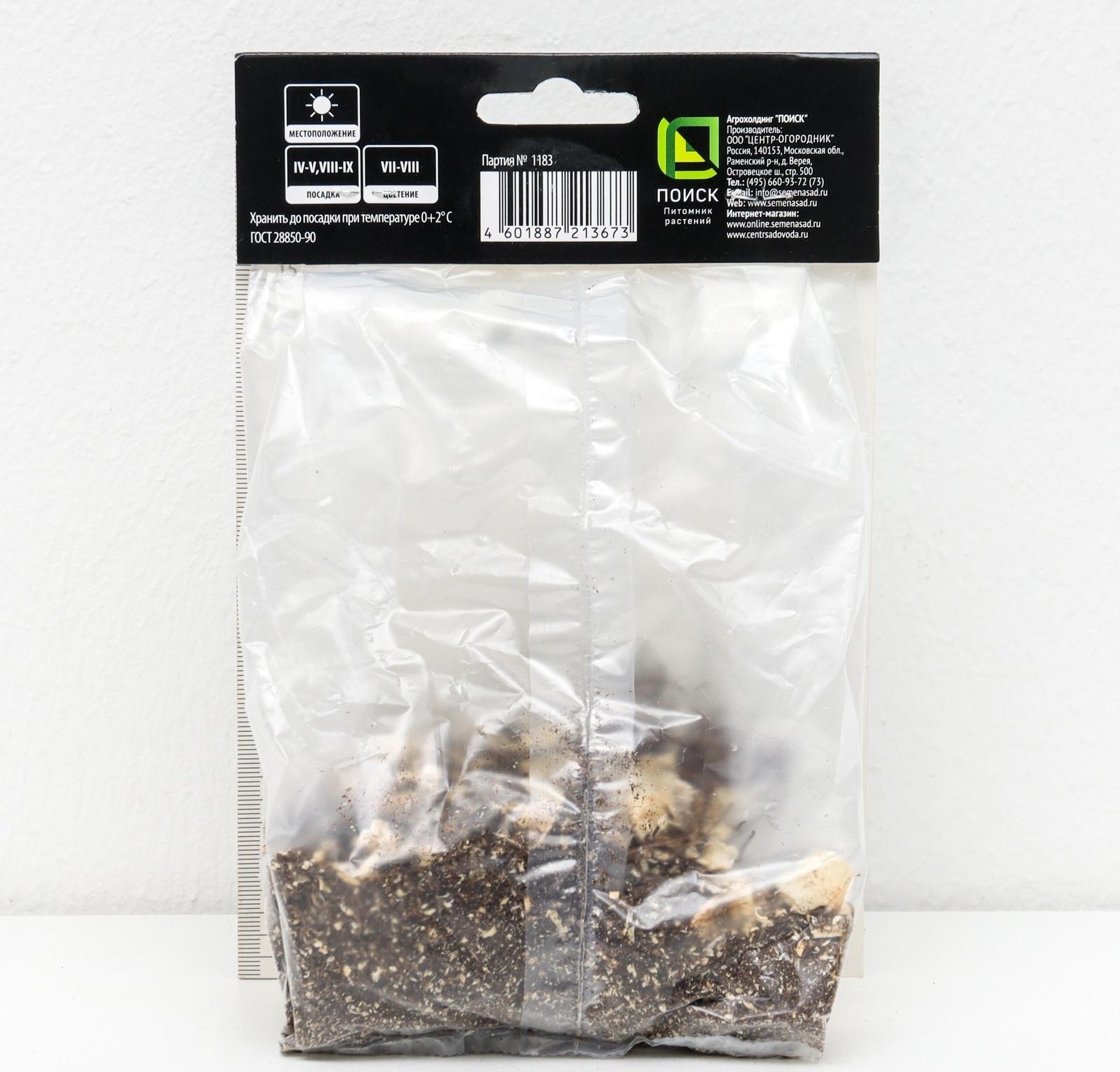 Дельфиниум 